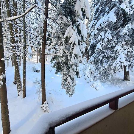 Forest Apartment/ Villa Park Borovets Esterno foto