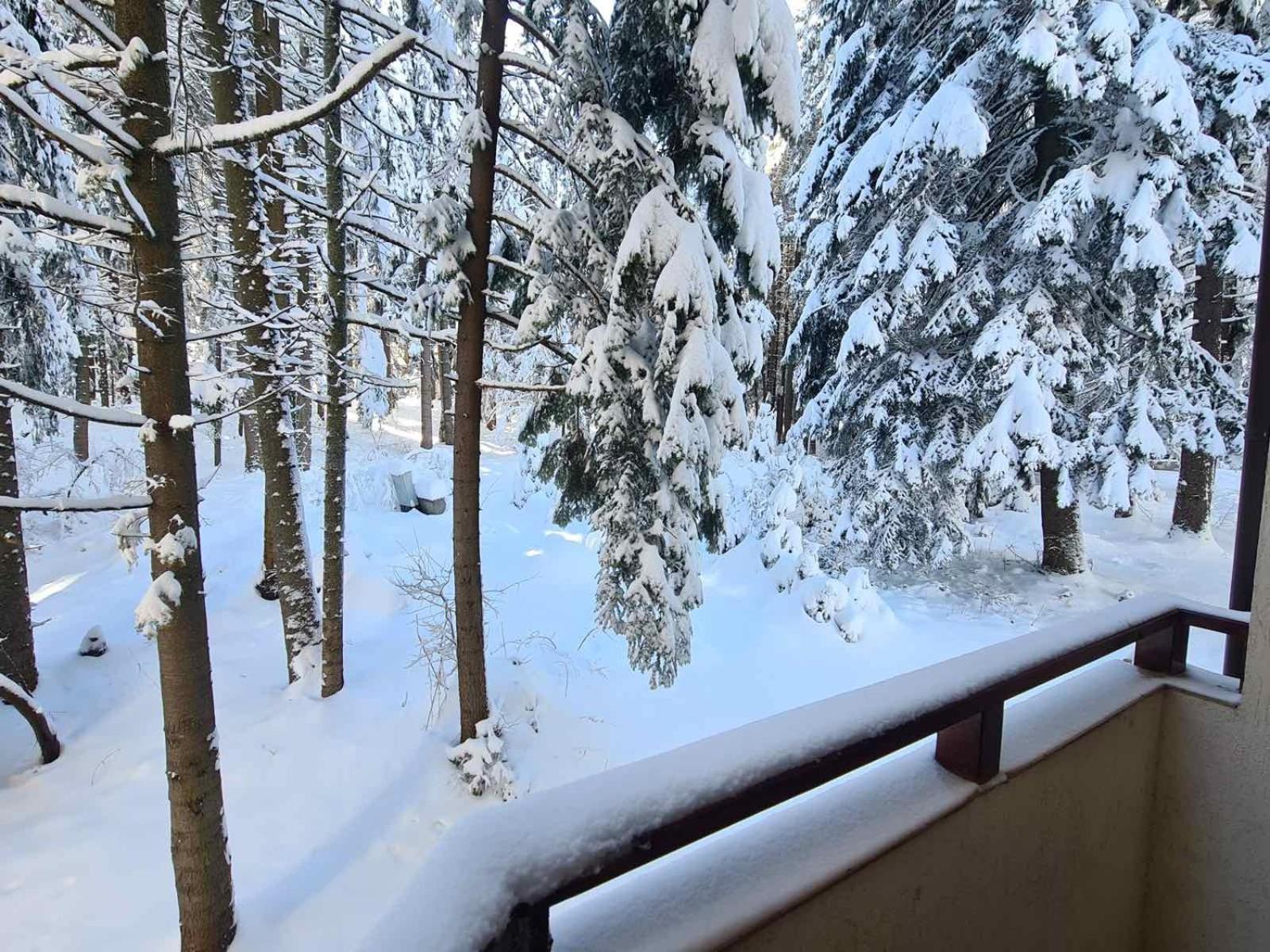 Forest Apartment/ Villa Park Borovets Esterno foto