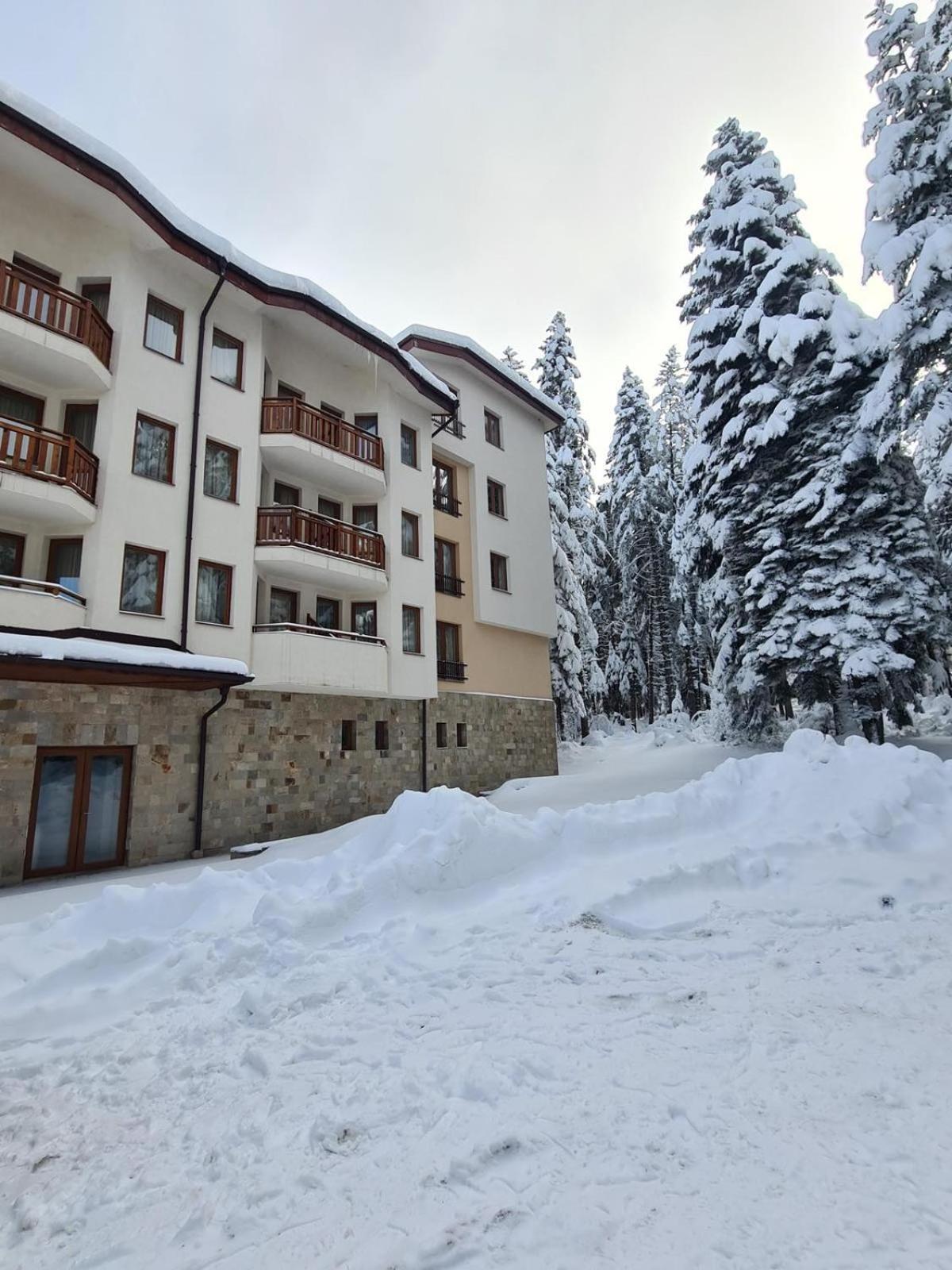 Forest Apartment/ Villa Park Borovets Esterno foto